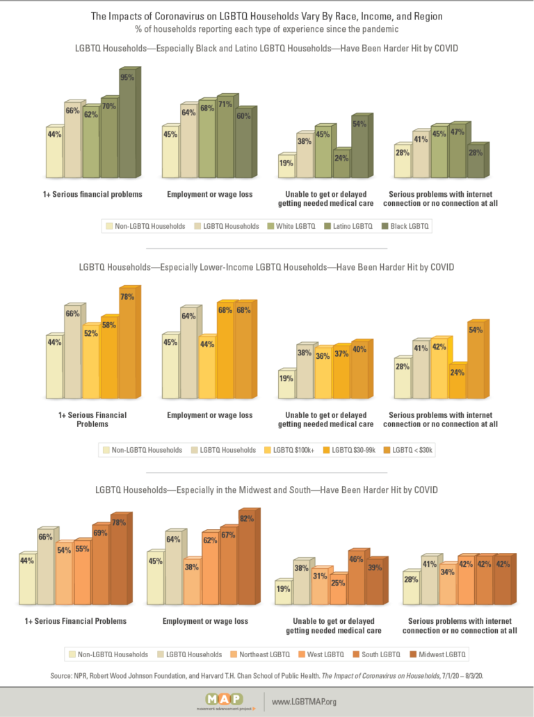 2020-covid-lgbtq-households-infographic-2.1