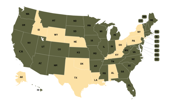 nonpartisan-election-observers-2026-02-26-065549